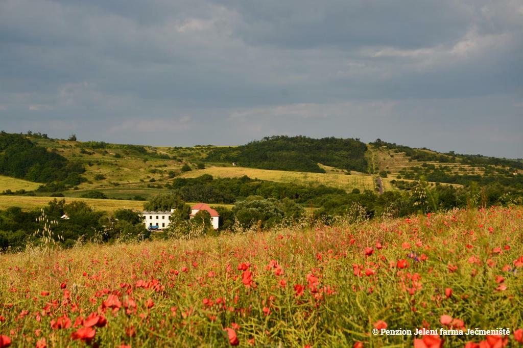 Jeleni Farma Jecmeniste Hotel Vrbovec ภายนอก รูปภาพ